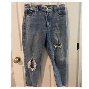 Abercrombie and Fitch Curve Love Mom Jeans